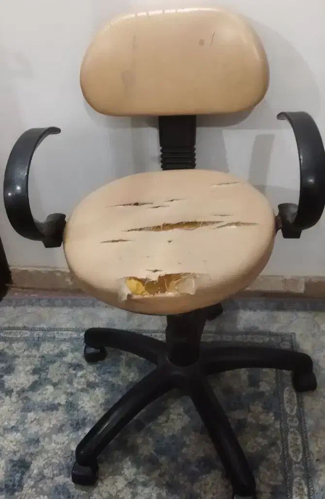 صندلی چرخدار|صندلی و نیمکت|بهبهان, |دیوار