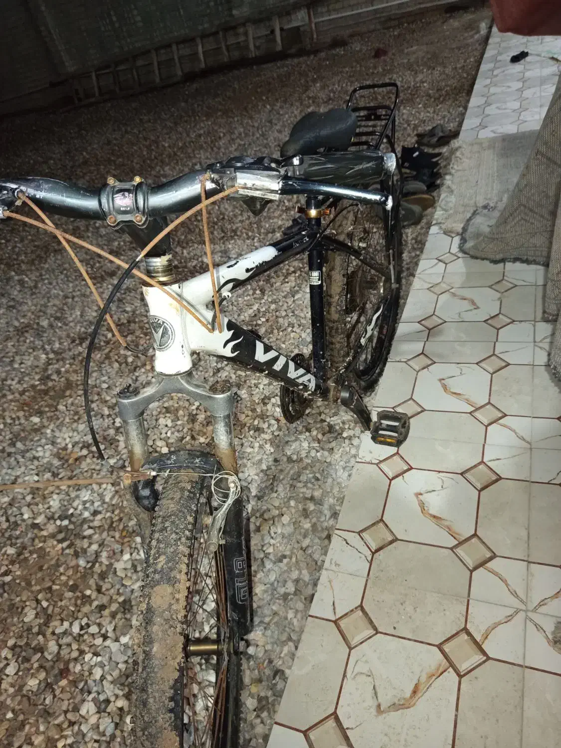 دوچرخه ویوا 26|دوچرخه، اسکیت، اسکوتر|کارون, |دیوار