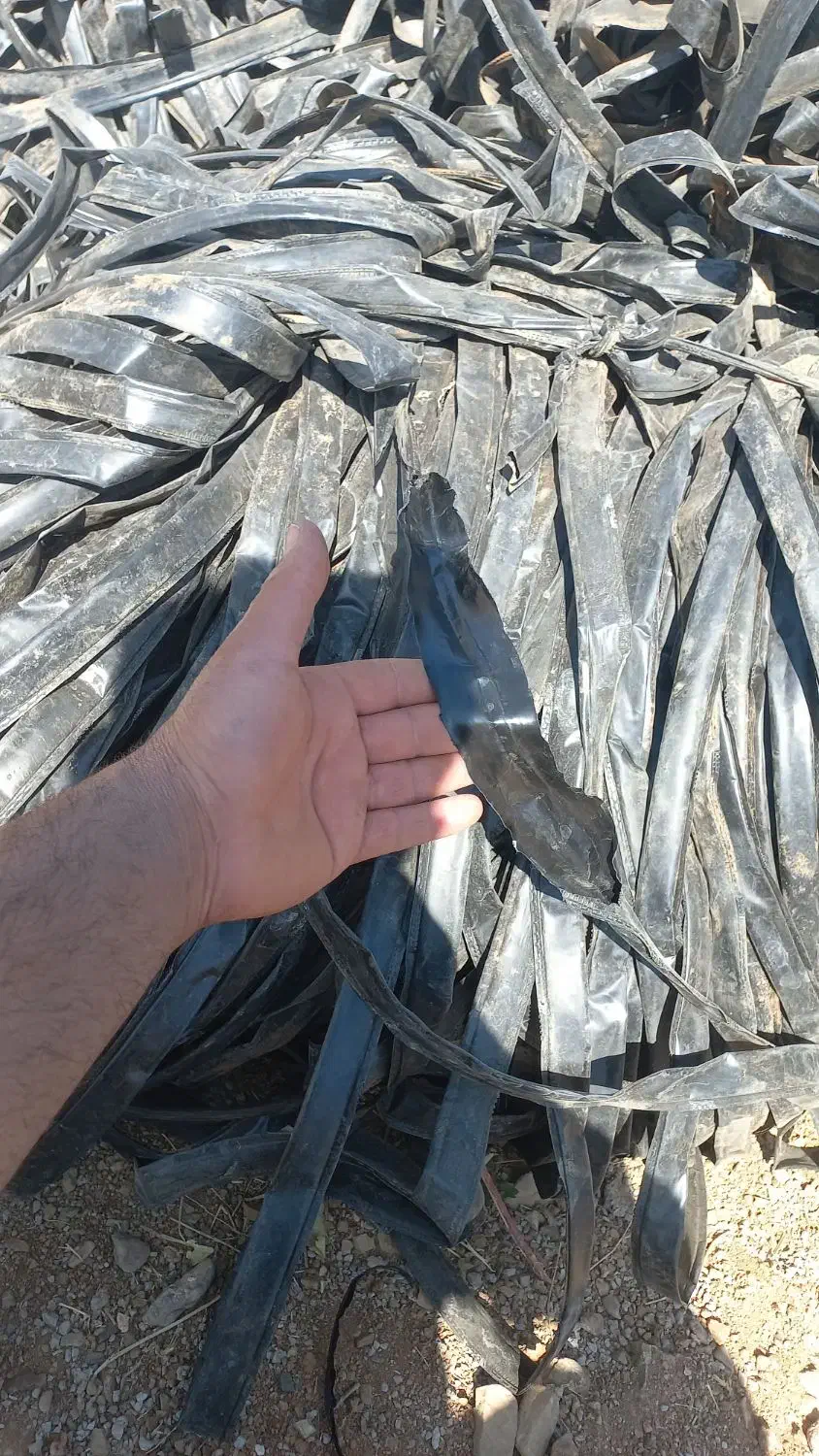 نوار تیپ|خدمات باغبانی و درختکاری|چنارود, |دیوار