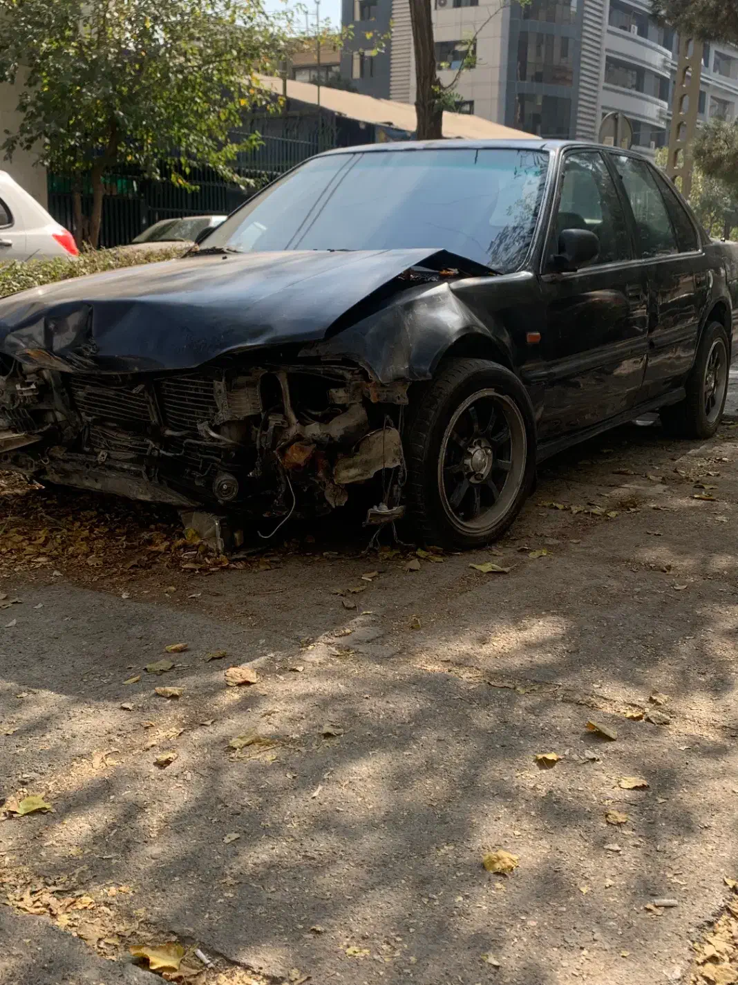 هوندا اکورد مدل 1993 ex|خودرو سواری و وانت|تهران, الهیه|دیوار