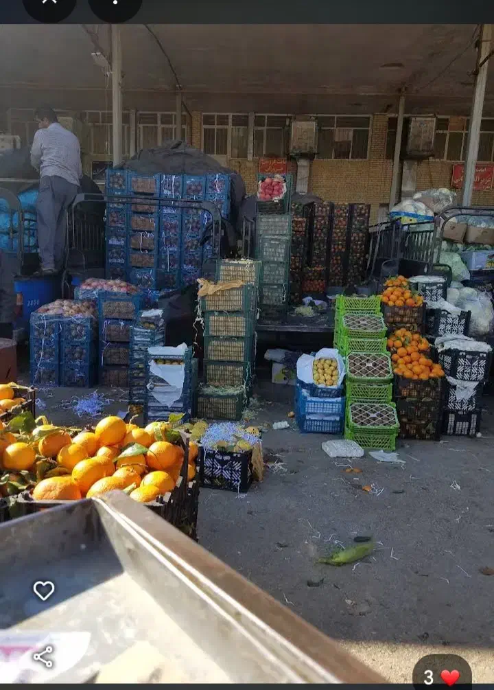 نیازمند کارگر برای میدان تره بار|استخدام بازاریابی و فروش|جهرم, |دیوار