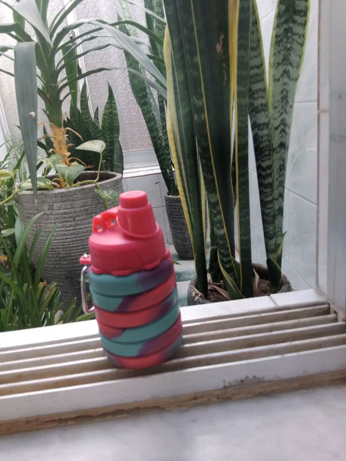 قمقمه سیلیکونی|غواصی و ورزشهای آبی|گالیکش, |دیوار