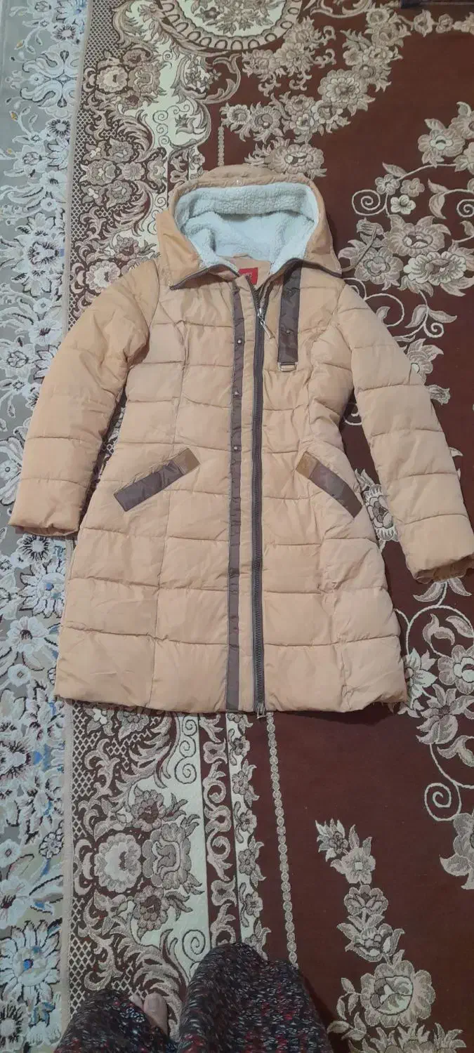 کاپشن|لباس|بروجرد, |دیوار