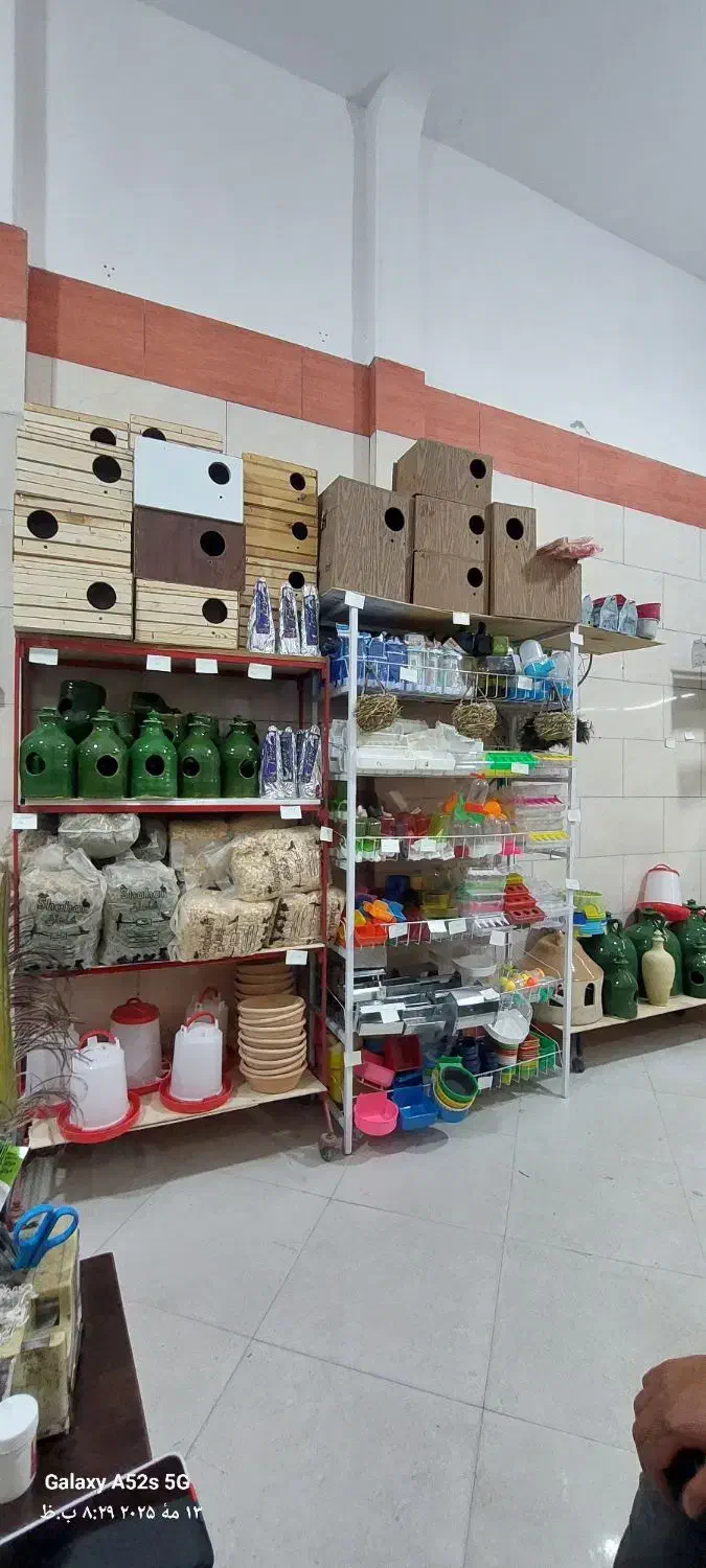 پرنده.قفس .دان، ملزومات پرندگان غذای خشک سگ وگربه|پرنده|کرج, پیشاهنگی|دیوار