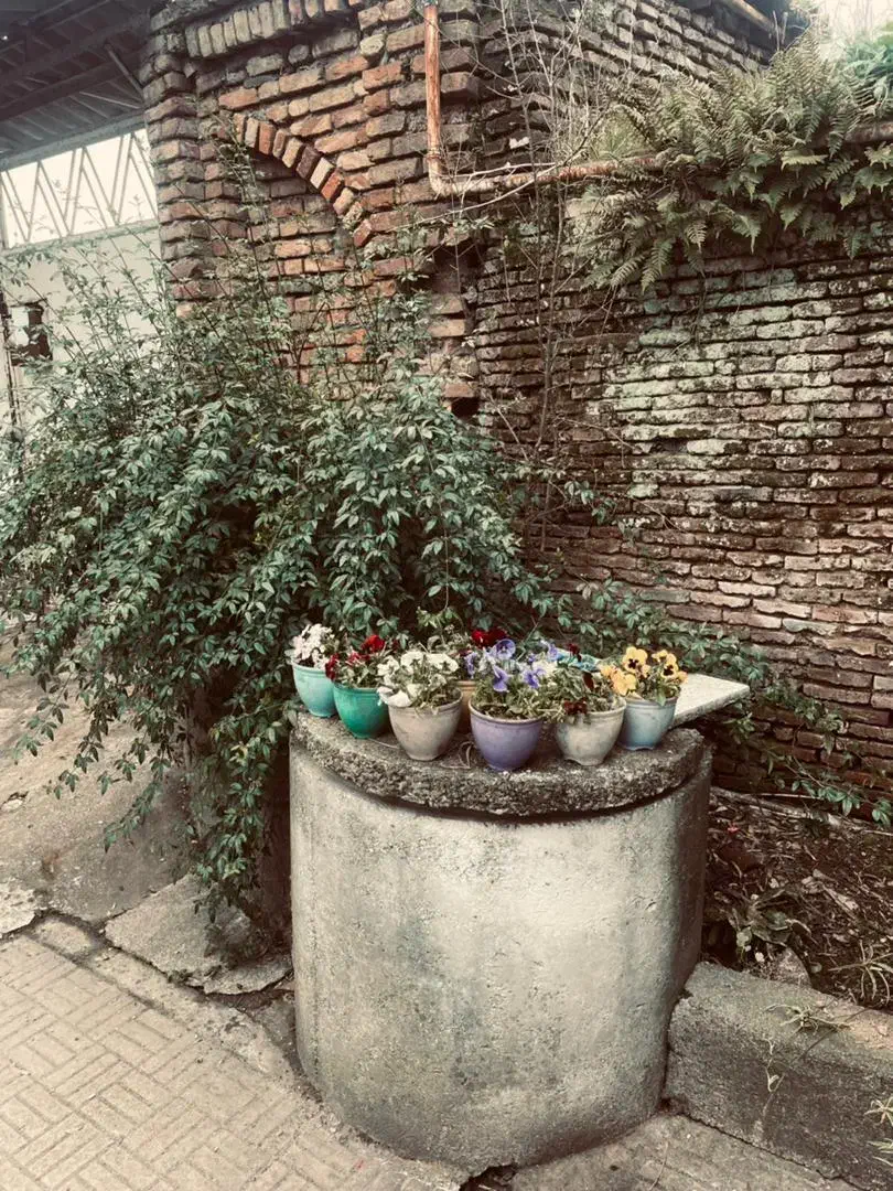 اجاره سوئیت در مرکز شهر ،واقع دریافت تاریخی املش|اجارهٔ کوتاه‌مدت آپارتمان و سوئیت|املش, |دیوار