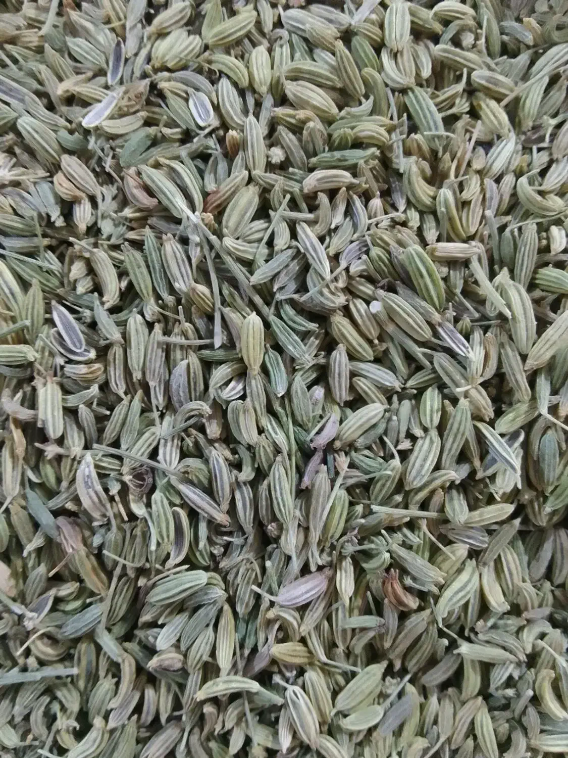 رازیانه|خوردنی و آشامیدنی|هشتگرد, ینگی امام|دیوار