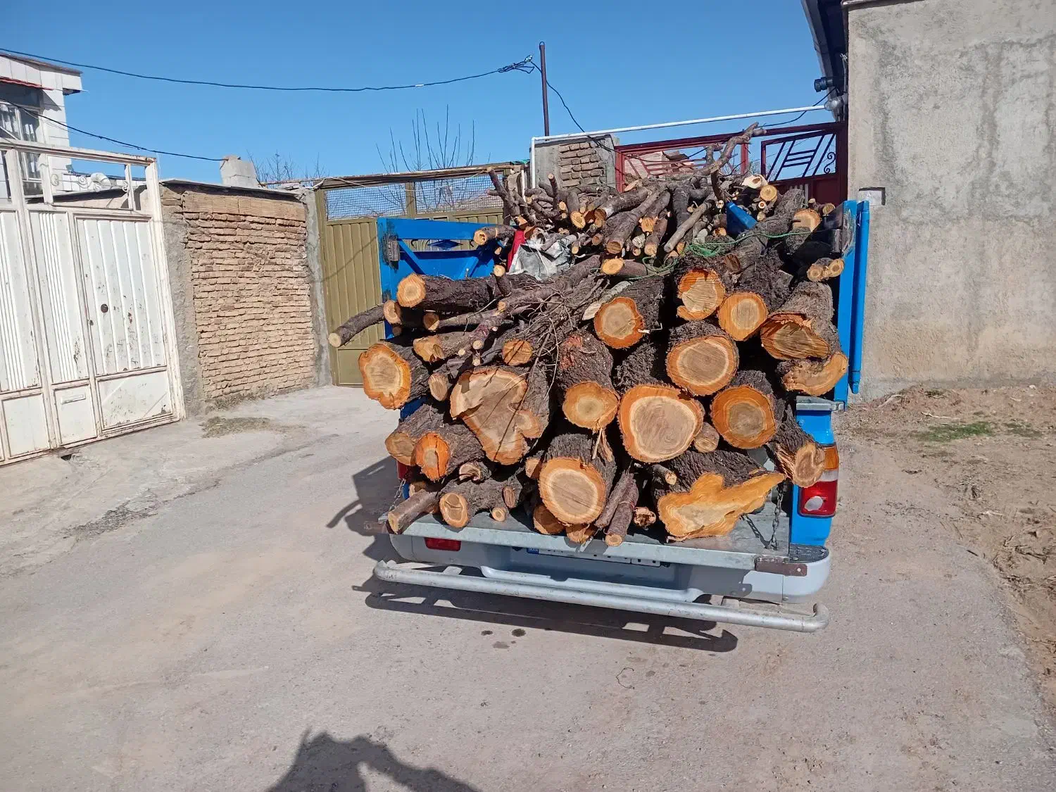 خرید و برش انواع چوب|خدمات باغبانی و درختکاری|سامان, |دیوار