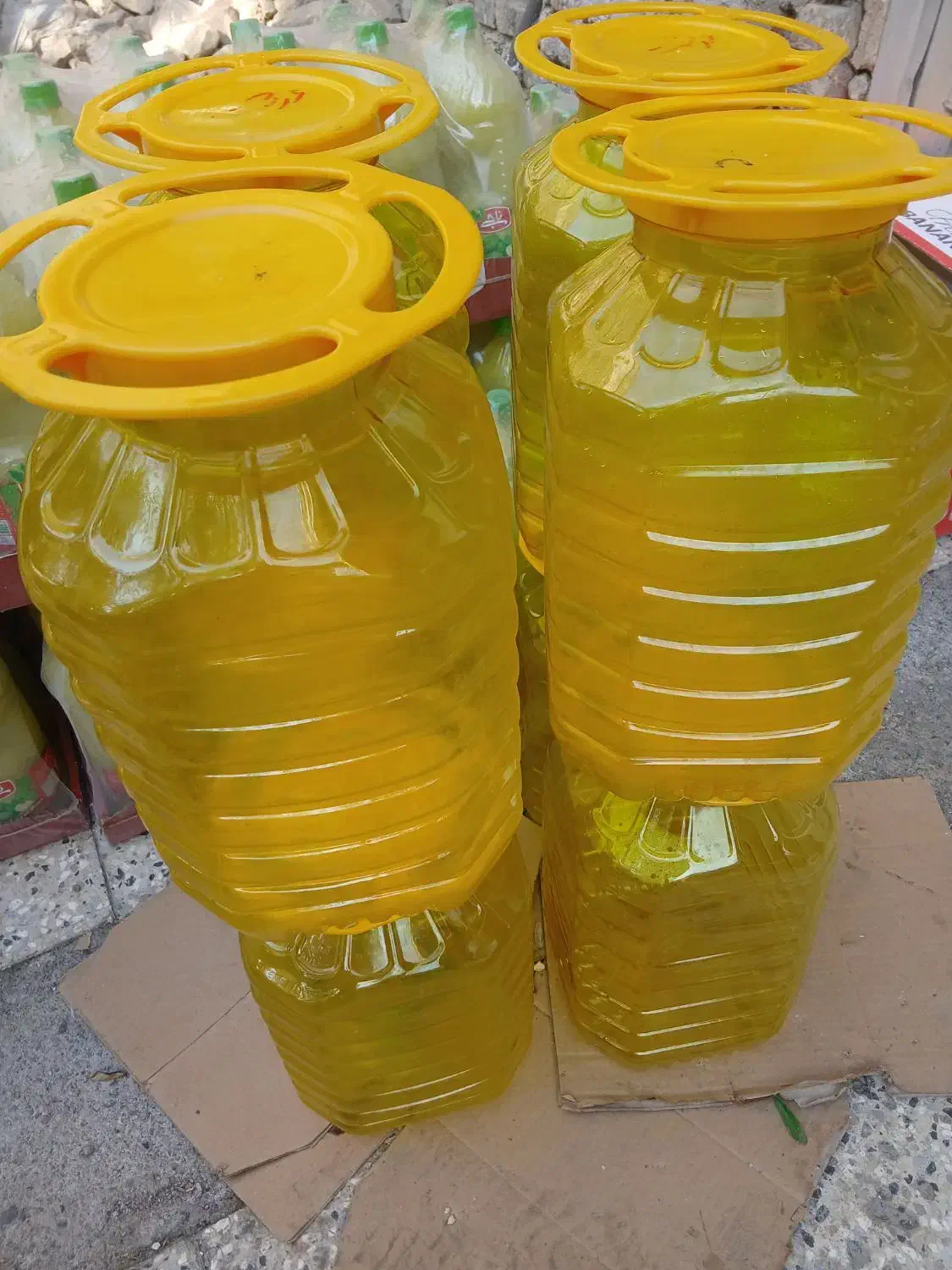 گالن ۲۰ لیتری کارتن موزی دبه درب فرمونی سطل۱۰کیلو|ظروف نگهدارنده، پلاستیکی، یکبارمصرف|مشهد, شاهد (شهرک غرب)|دیوار