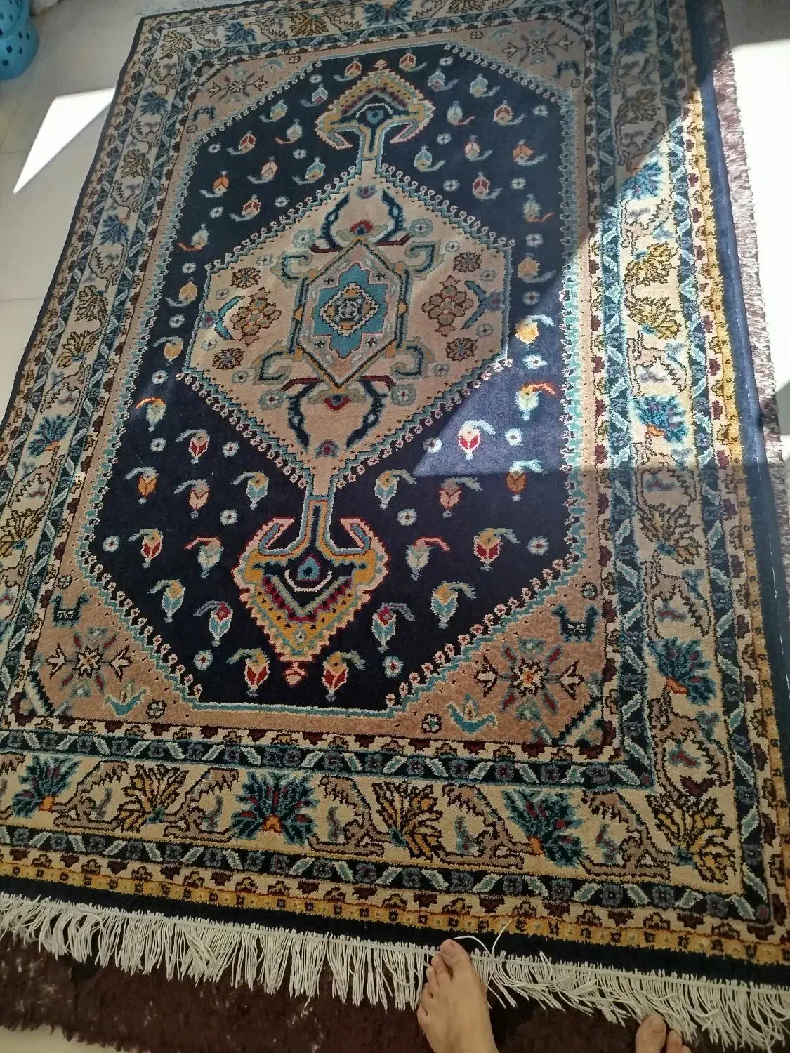 فرش|فرش|تهران, سنگلج (شاپور)|دیوار