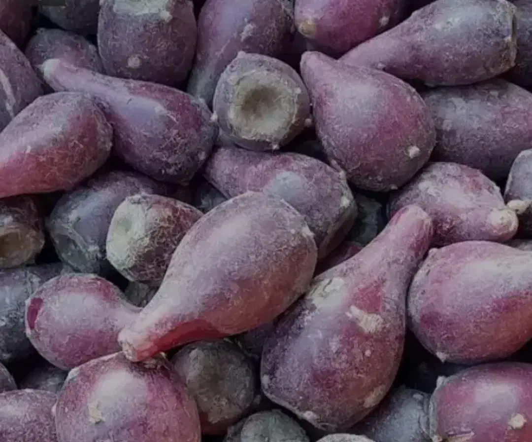 اپونیتای بنفش|آرایشی، بهداشتی، درمانی|بیرجند, |دیوار