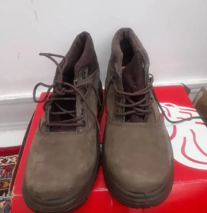 نیم پوت کوهنوردی|کیف، کفش، کمربند|شیراز, غدیر شمالی|دیوار