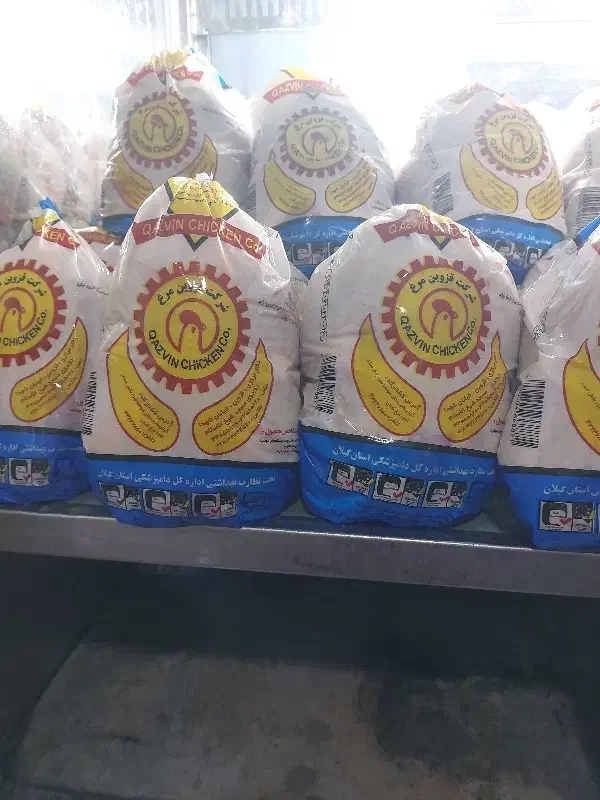 مرغ شمال گریدA|خوردنی و آشامیدنی|قم, نیروگاه|دیوار