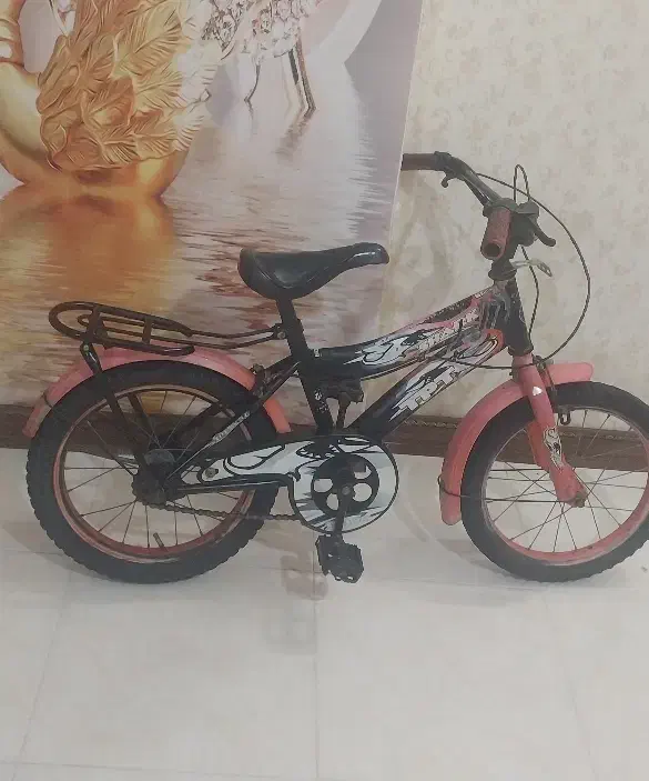 دوچرخه ۱۶|دوچرخه، اسکیت، اسکوتر|گلبهار, شهر جدید گلبهار|دیوار