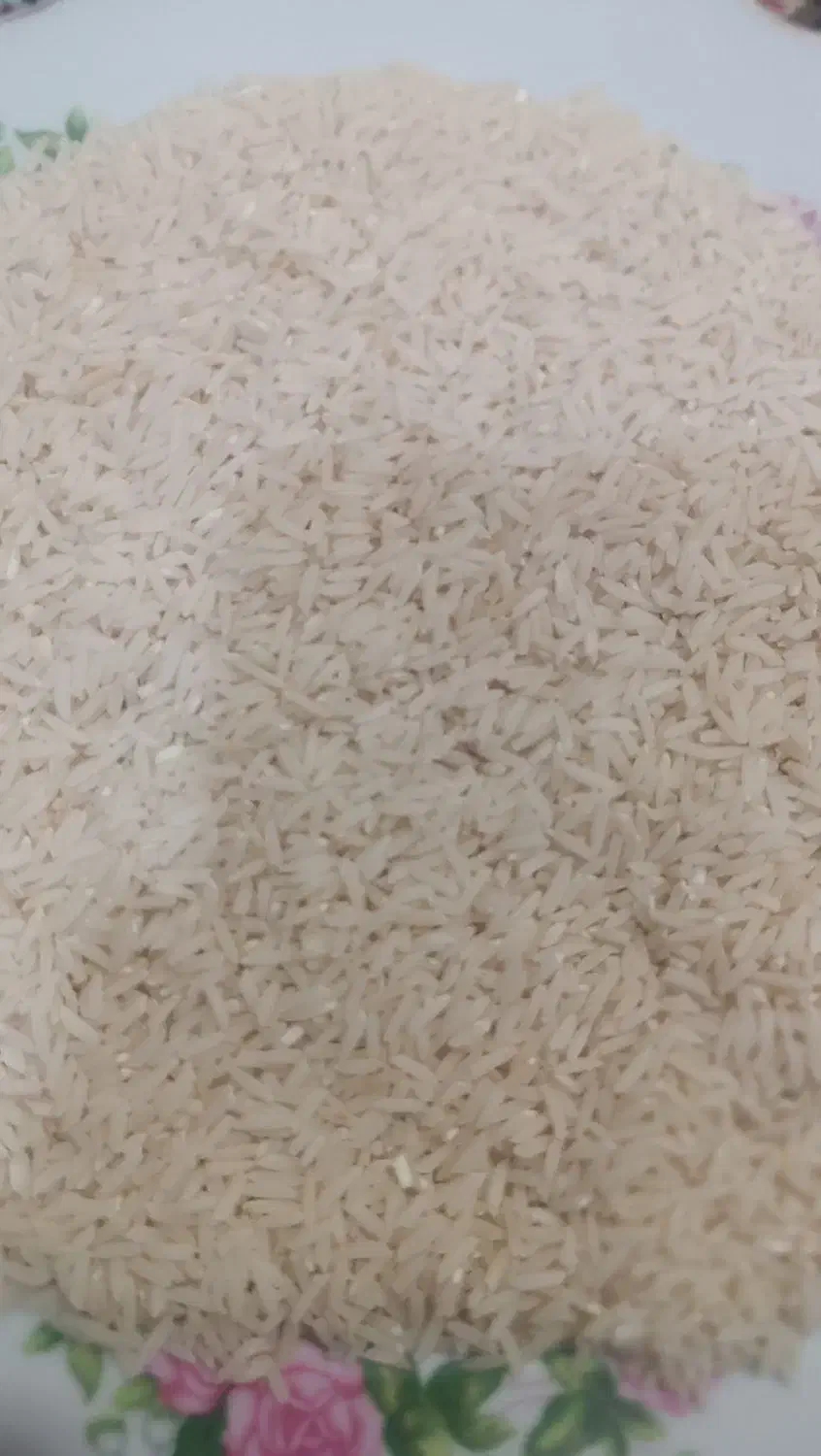 برنج طارم دم سیاه کلاله|خوردنی و آشامیدنی|گنبد کاووس, |دیوار