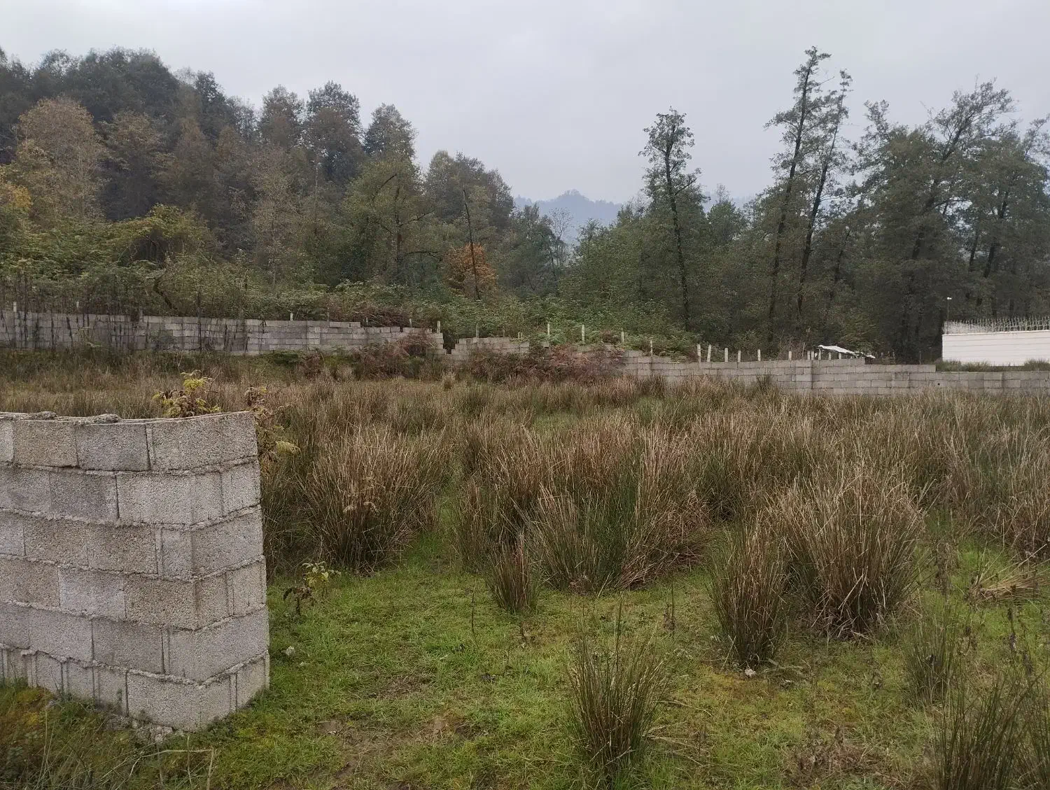 زمین مسکونی|فروش زمین و ملک کلنگی|گوراب زرمیخ, |دیوار