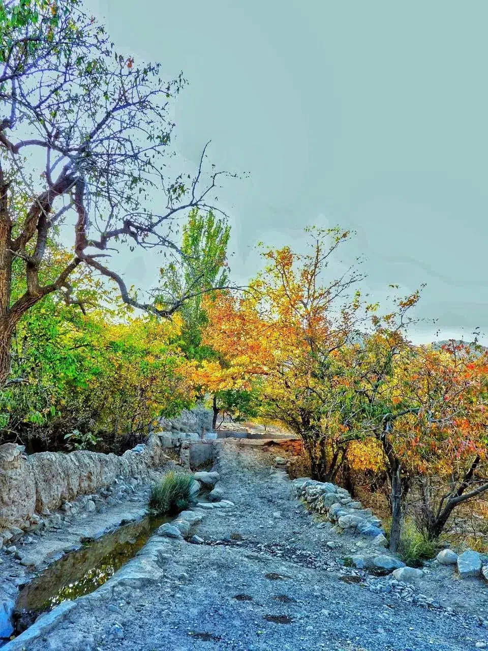 زمین گلخانه|فروش دفتر صنعتی، کشاورزی، تجاری|لالجین, |دیوار