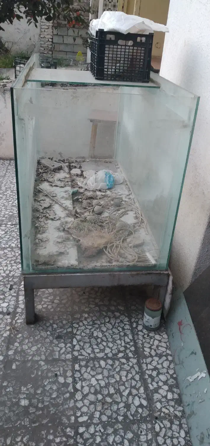 اکواریوم بزرگ ماهی|ماهی|آمل, |دیوار