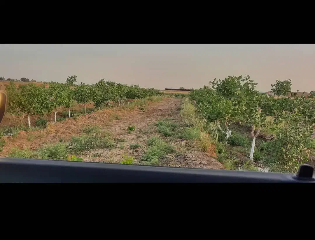 زمین 45هکتار همراه چاه|اجارهٔ دفتر صنعتی، کشاورزی، تجاری|جوادآباد, |دیوار