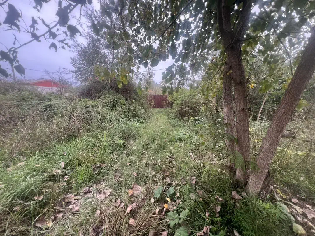 5/800متر زمین مسکونی سند دارکوچصفهان/سنگر/لولمان|فروش زمین و ملک کلنگی|کوچصفهان, |دیوار