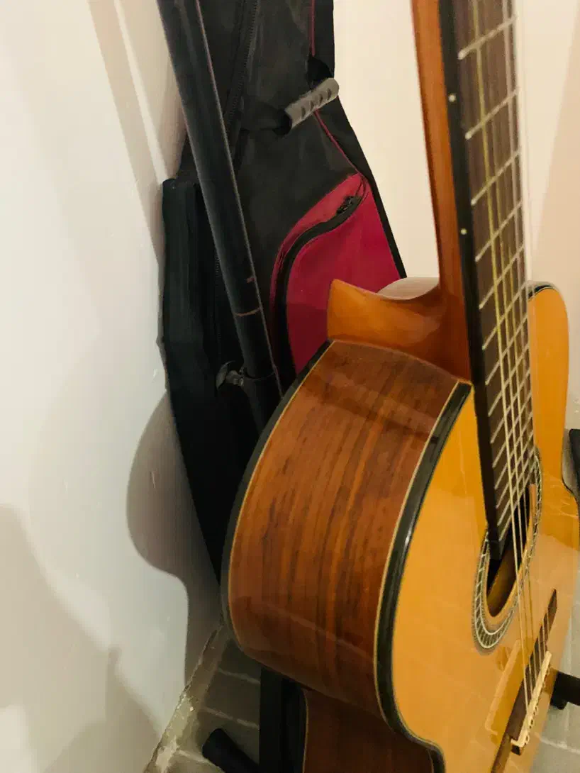 گیتار در حد نو|گیتار، بیس، امپلیفایر|فومن, |دیوار