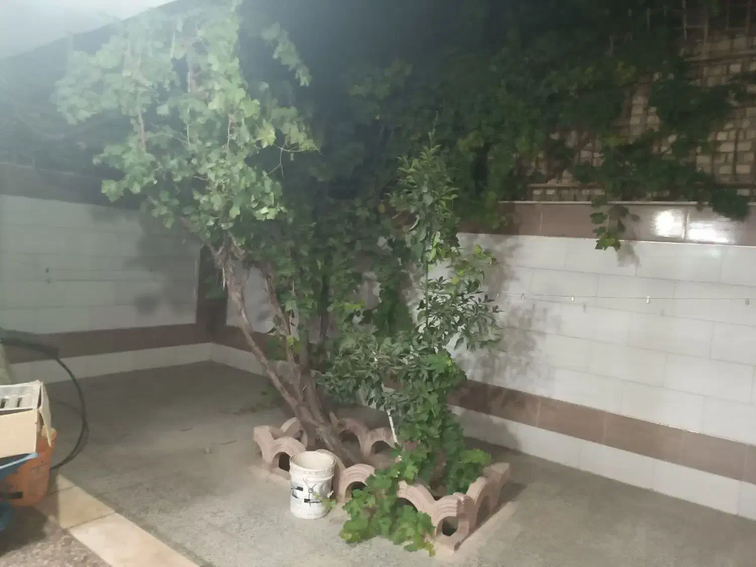 منزل فروشی آزادگان فاز 3|فروش خانه و ویلا|نجف‌آباد, فاز ۳ شهرک آزادگان|دیوار