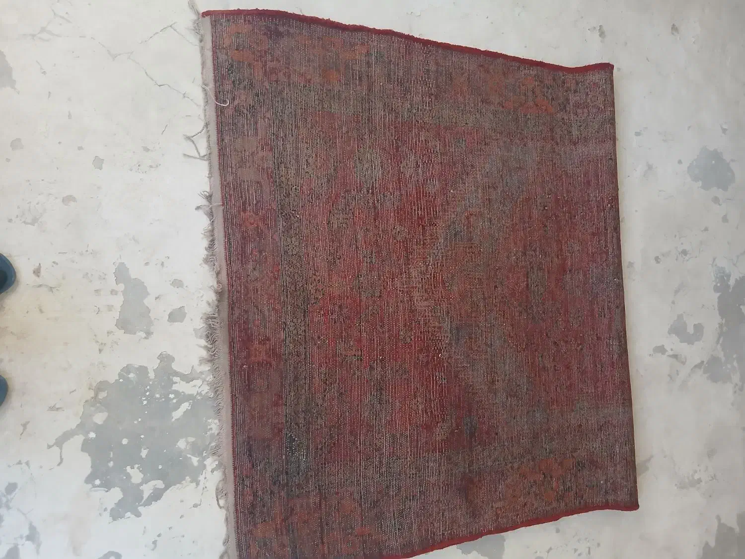 فرش دست باف|فرش|نسیم‌شهر, |دیوار