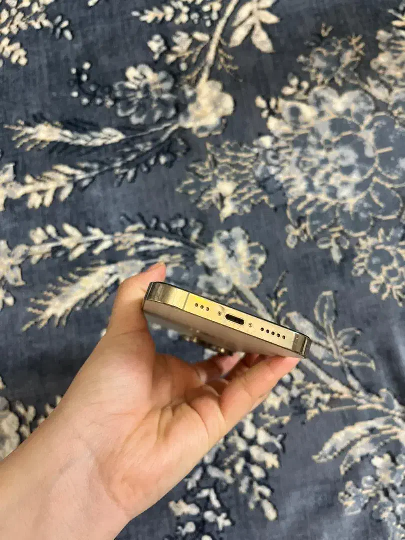 آیفون ۱۴ پرو|موبایل|ری, دیلمان|دیوار