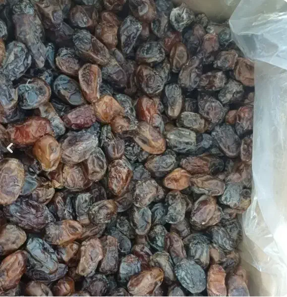 خرید  کده|فعالیت داوطلبانه|بم, |دیوار