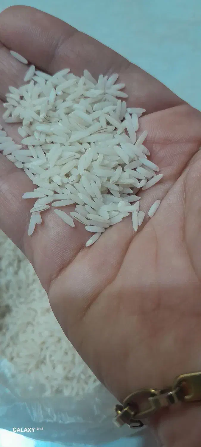 برنج هاشمی|خوردنی و آشامیدنی|قم, انسجام|دیوار