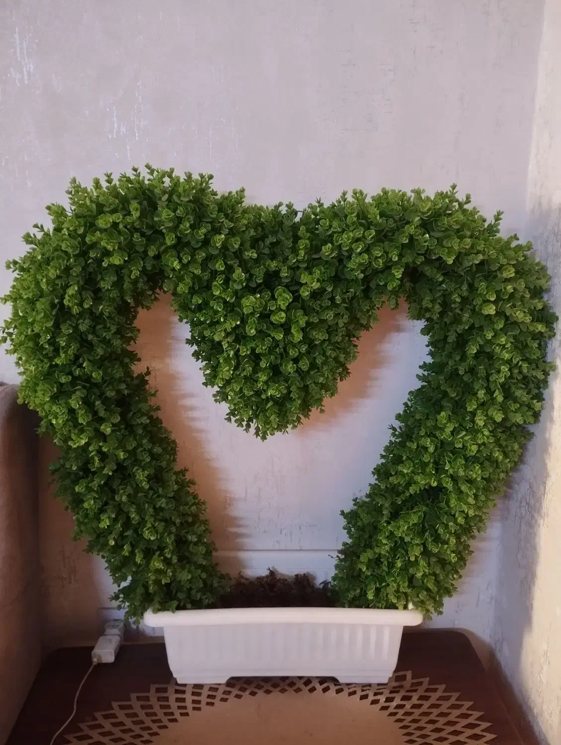 درخچه گل برگ|گل و گیاه طبیعی|قرچک, میرزائی جنوبی|دیوار