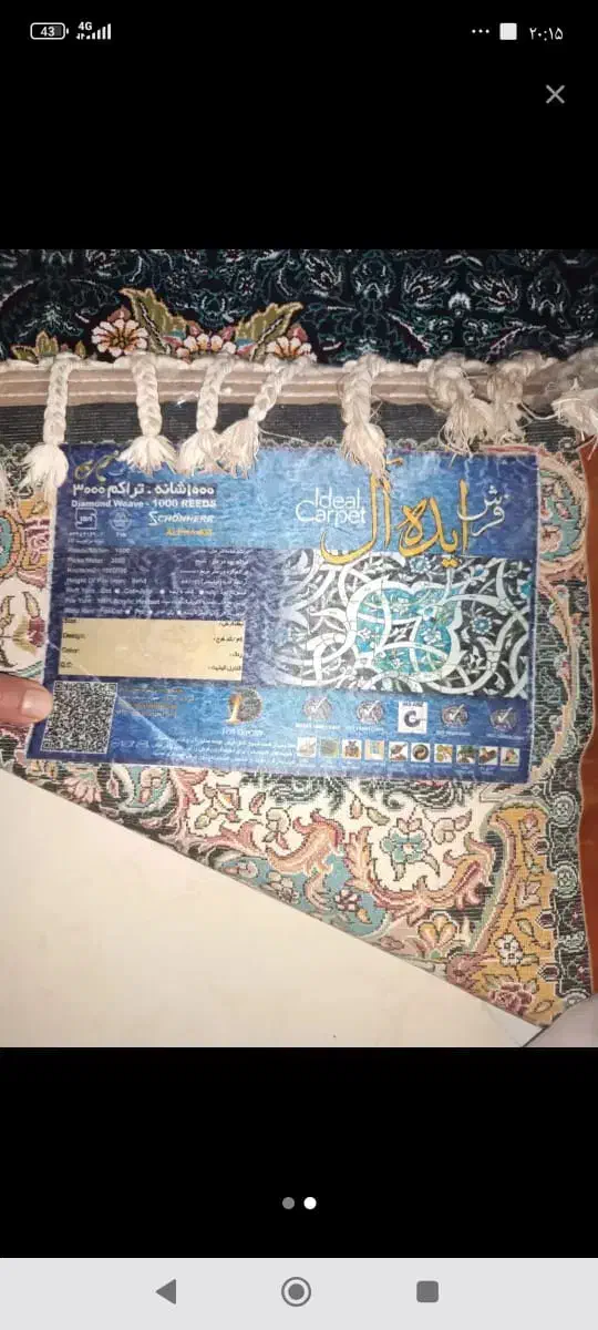یک جفت 6 متری|فرش|مرودشت, ولایت|دیوار