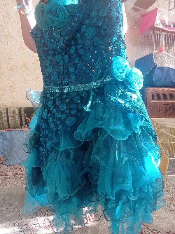 لباس مجلسی|لباس|طرقبه, |دیوار