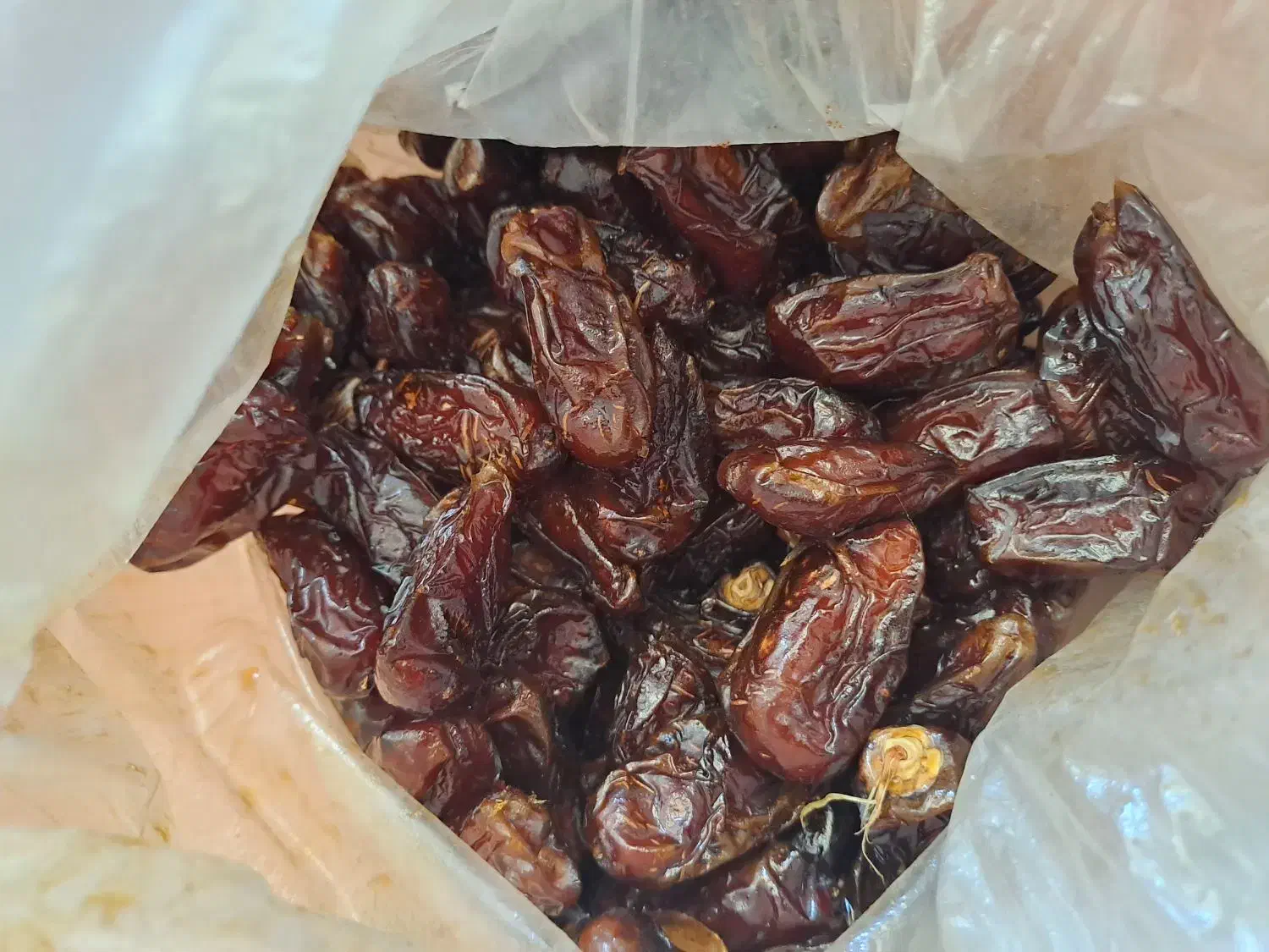 خرما سعمرون سهمرون وخرما پیارم|خوردنی و آشامیدنی|شنبه و طسوج, |دیوار