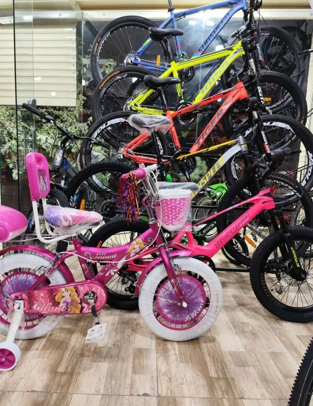 دوچرخه های دخترانه پرنسس(جهان دوچرخ قم)|دوچرخه، اسکیت، اسکوتر|ساوه, |دیوار