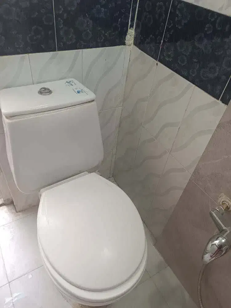 توالت فرنگی|لوازم سرویس بهداشتی|زاهدان, |دیوار