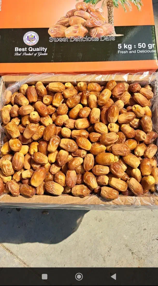 فروش خرما و مشتقات|عمده‌فروشی|ری, بی‌بی شهر بانو|دیوار