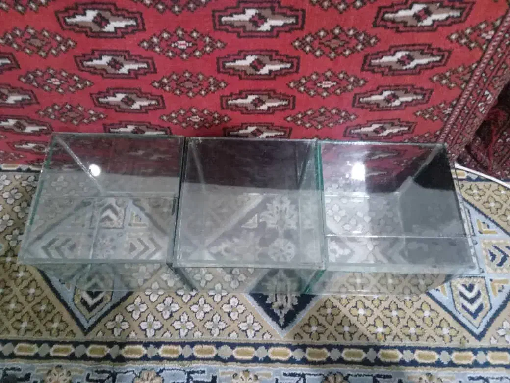 آکواریوم ماهی فایتر|ماهی|ری, دولت‌آباد|دیوار