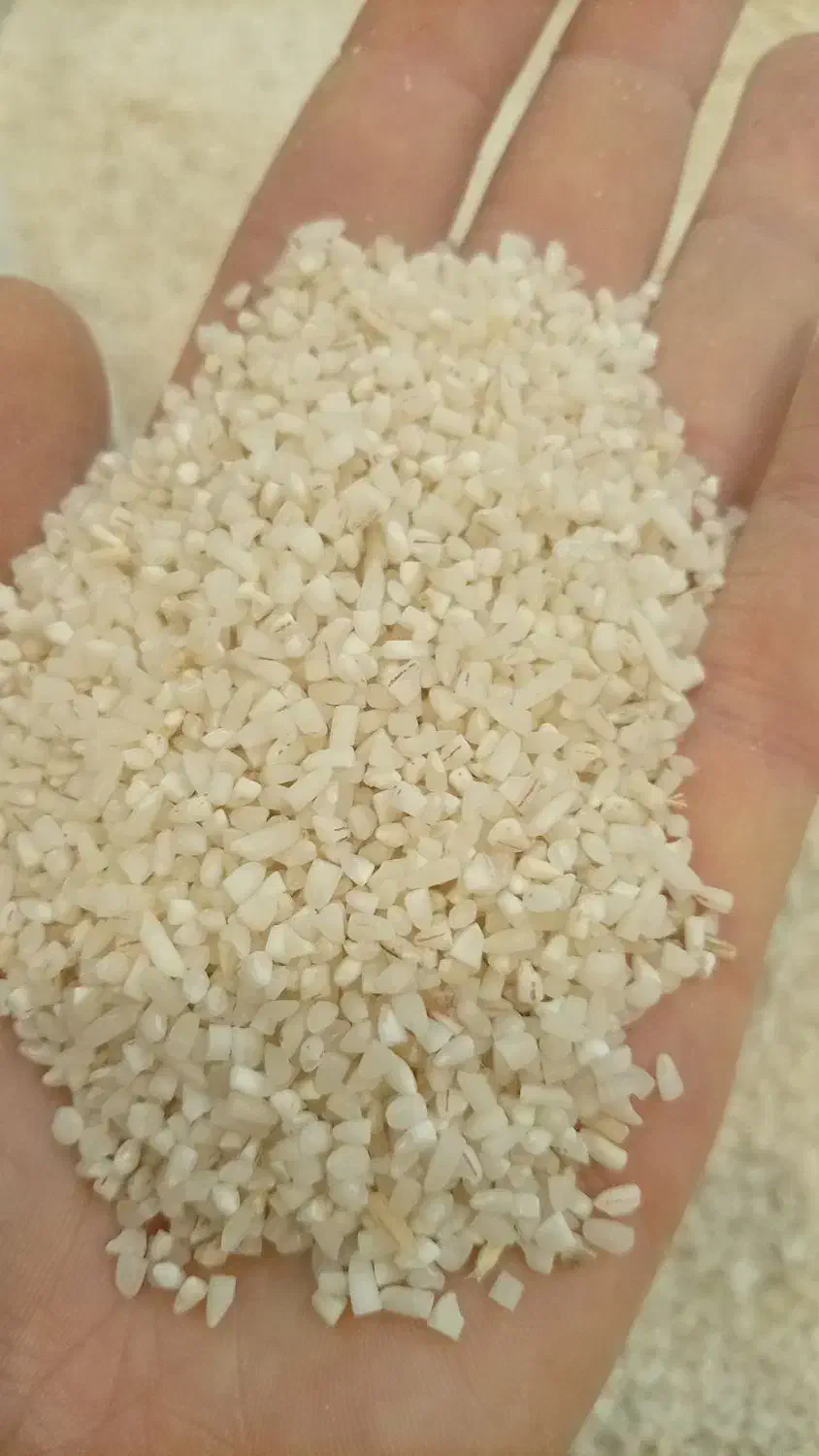 برنج نیم دونه هاشمی|خوردنی و آشامیدنی|رشت, حافظ آباد|دیوار