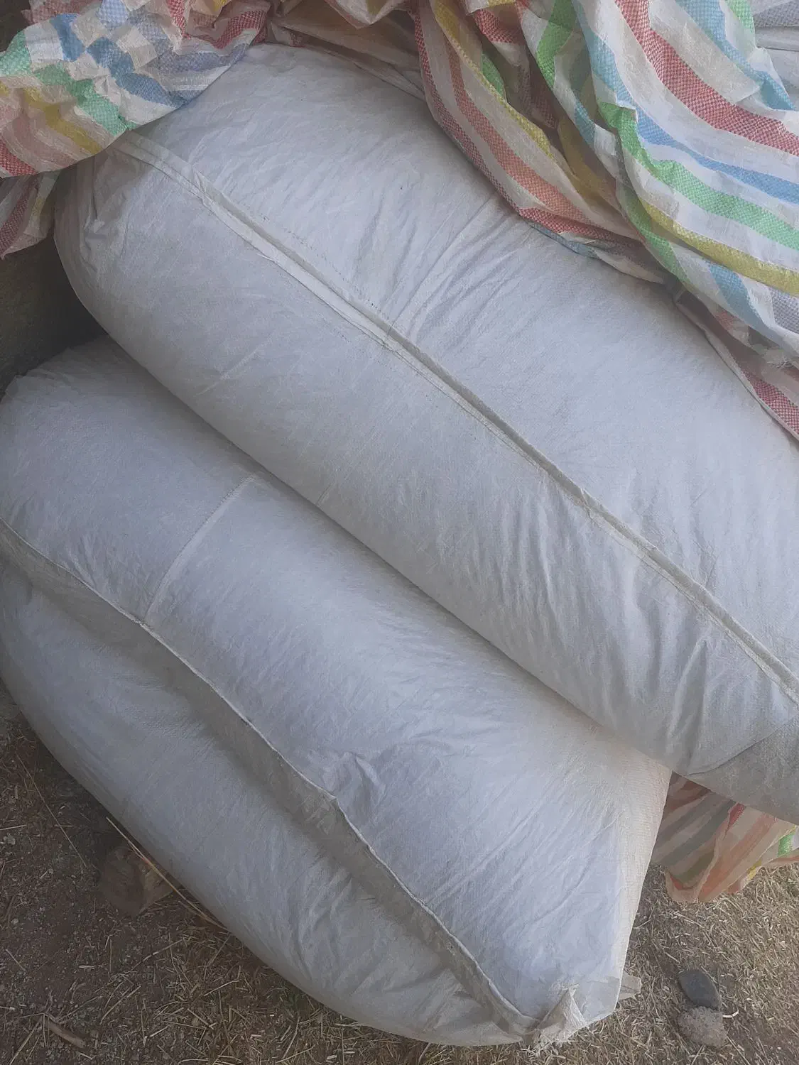 کاه پاخلا|لوازم جانبی حیوانات|مهربان, |دیوار