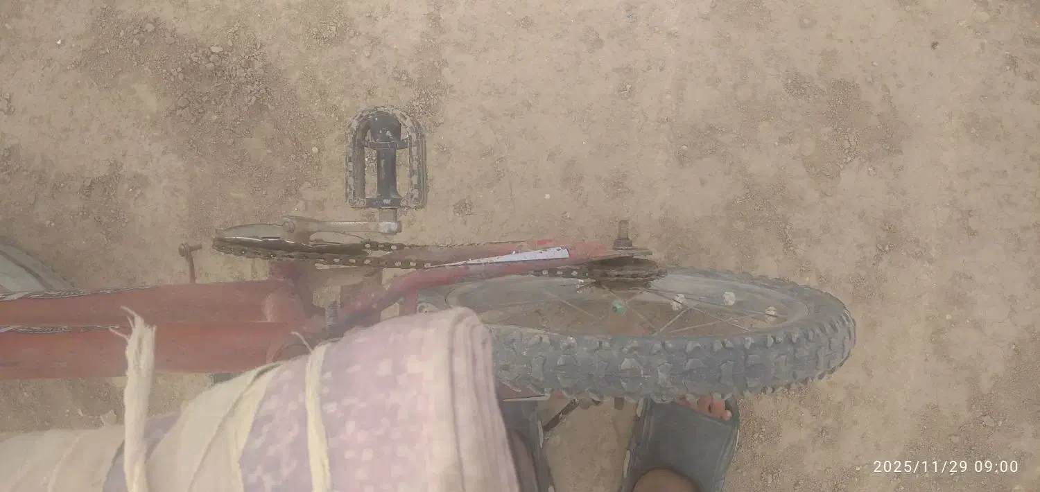 دوچرخه سایز 16|دوچرخه، اسکیت، اسکوتر|گنبد کاووس, |دیوار