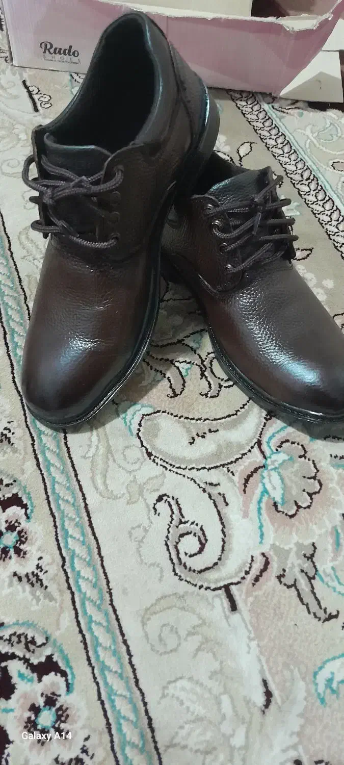 کفش|کیف، کفش، کمربند|تربت جام, مسکن مهر|دیوار