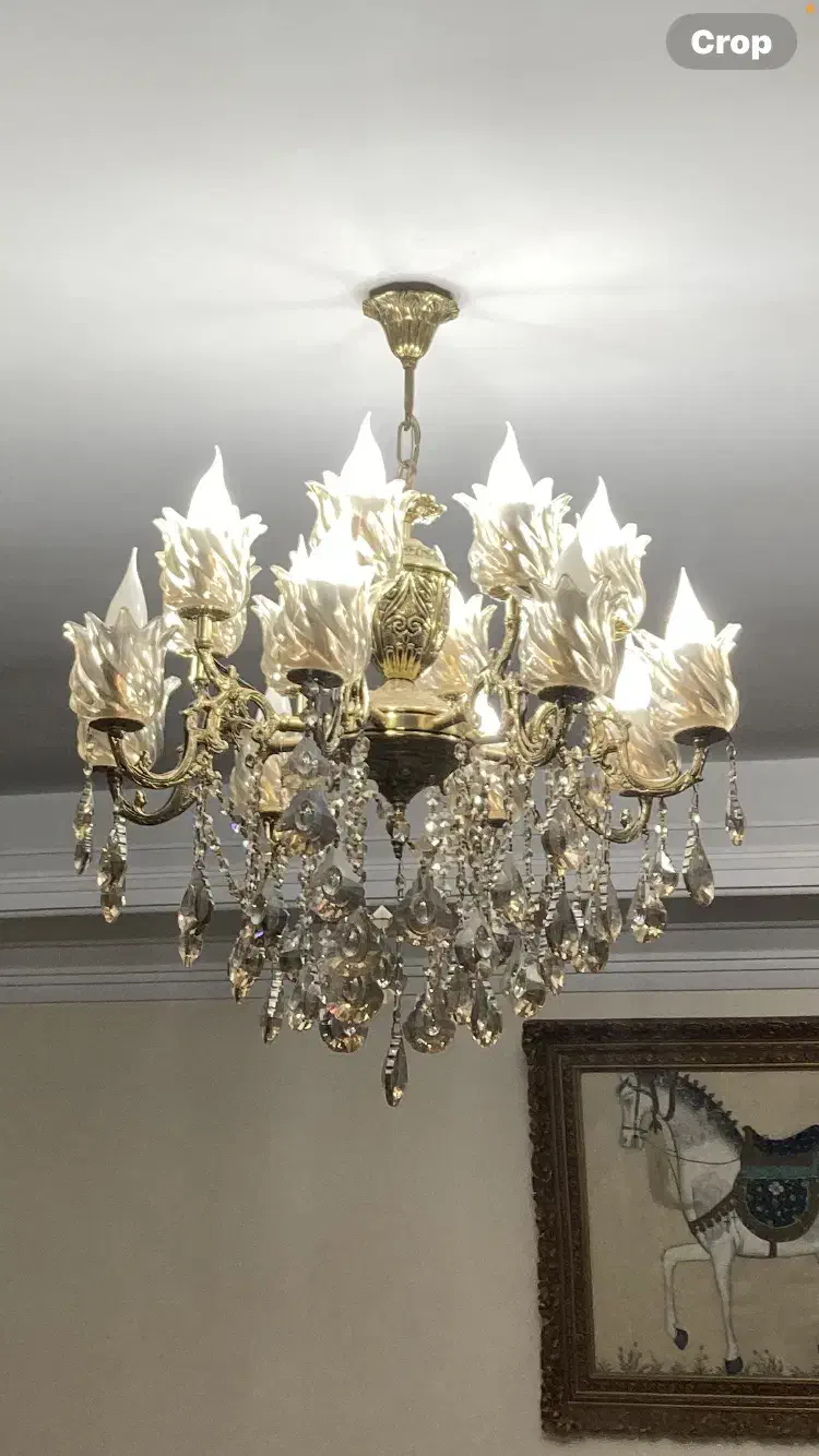 لوستر تمام برنجی ۱۶ شاخه ۲عدد|لوستر و چراغ آویز|تهران, هفده شهریور|دیوار