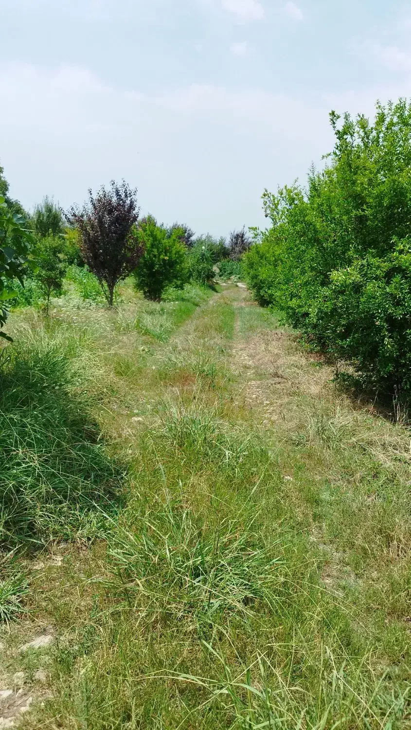 فروش زمین باغی|فروش زمین و ملک کلنگی|اصفهان, خلجا|دیوار