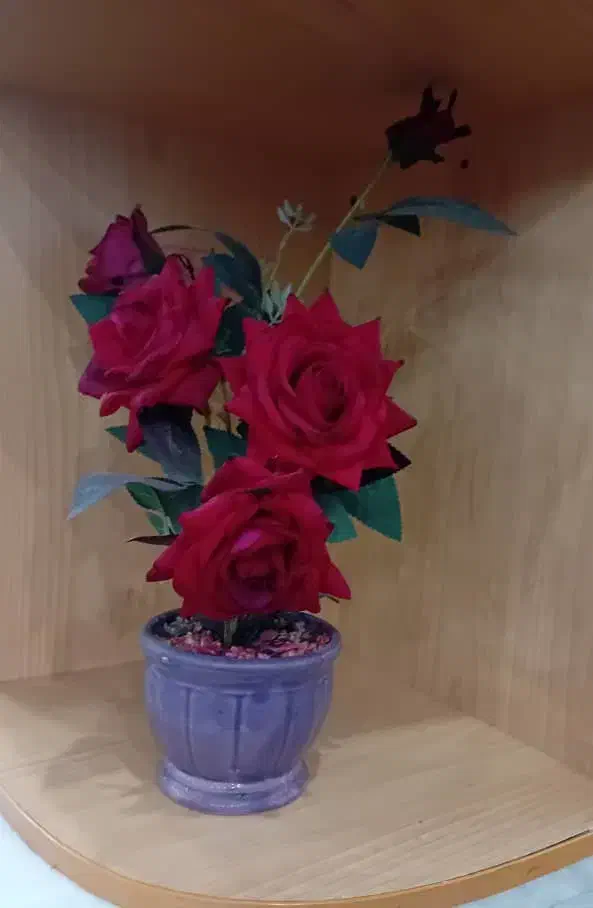 دکوری|گل مصنوعی|یزد, |دیوار