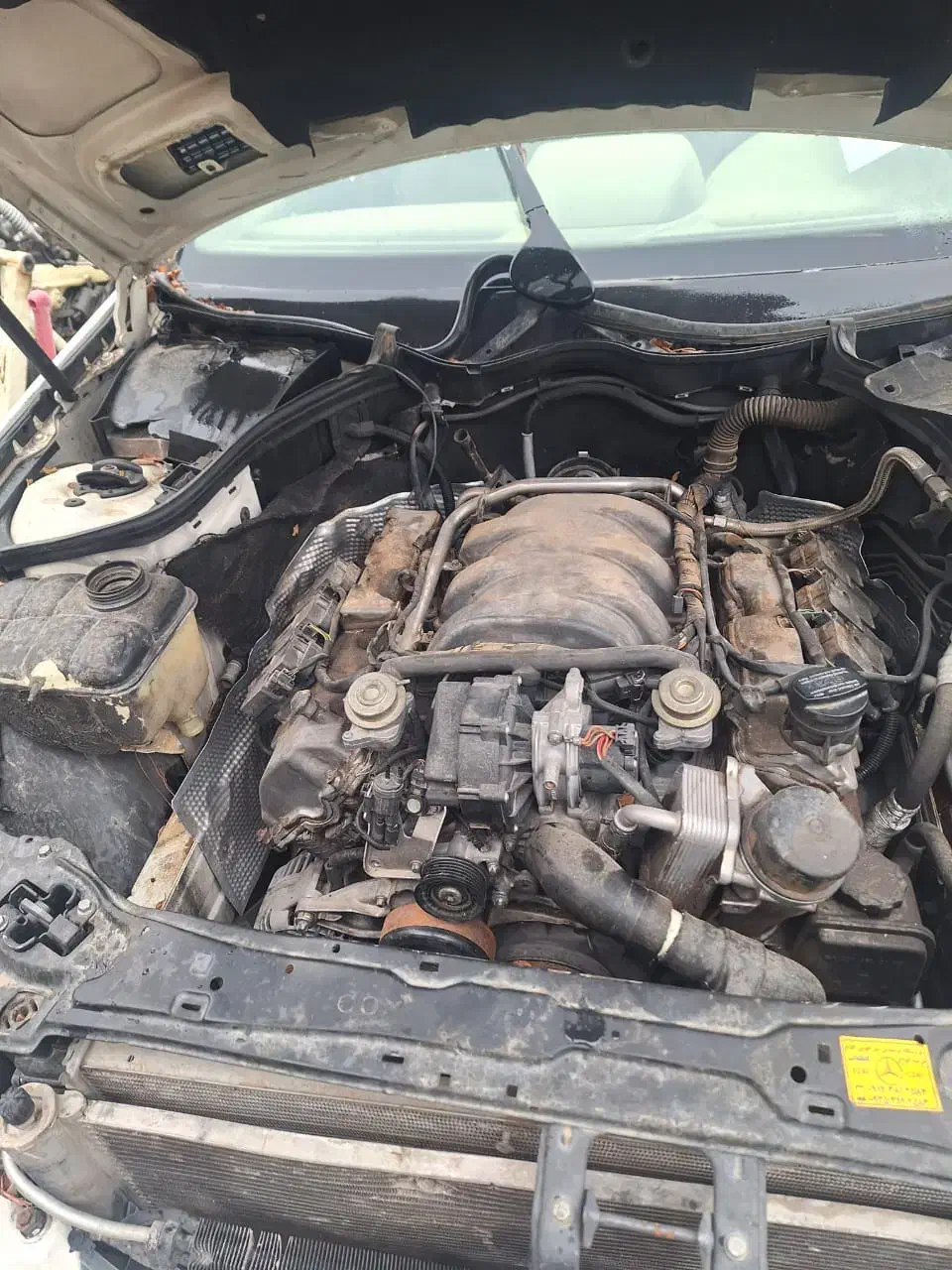 مزایده ای ناجا|خودرو سواری و وانت|تهران, شهرک دانشگاه|دیوار