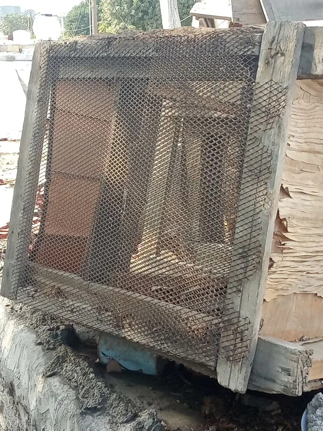 یک قفس چوبی بزرگ سالم چندتاجفکن بایددستی|لوازم جانبی حیوانات|بندرعباس, |دیوار