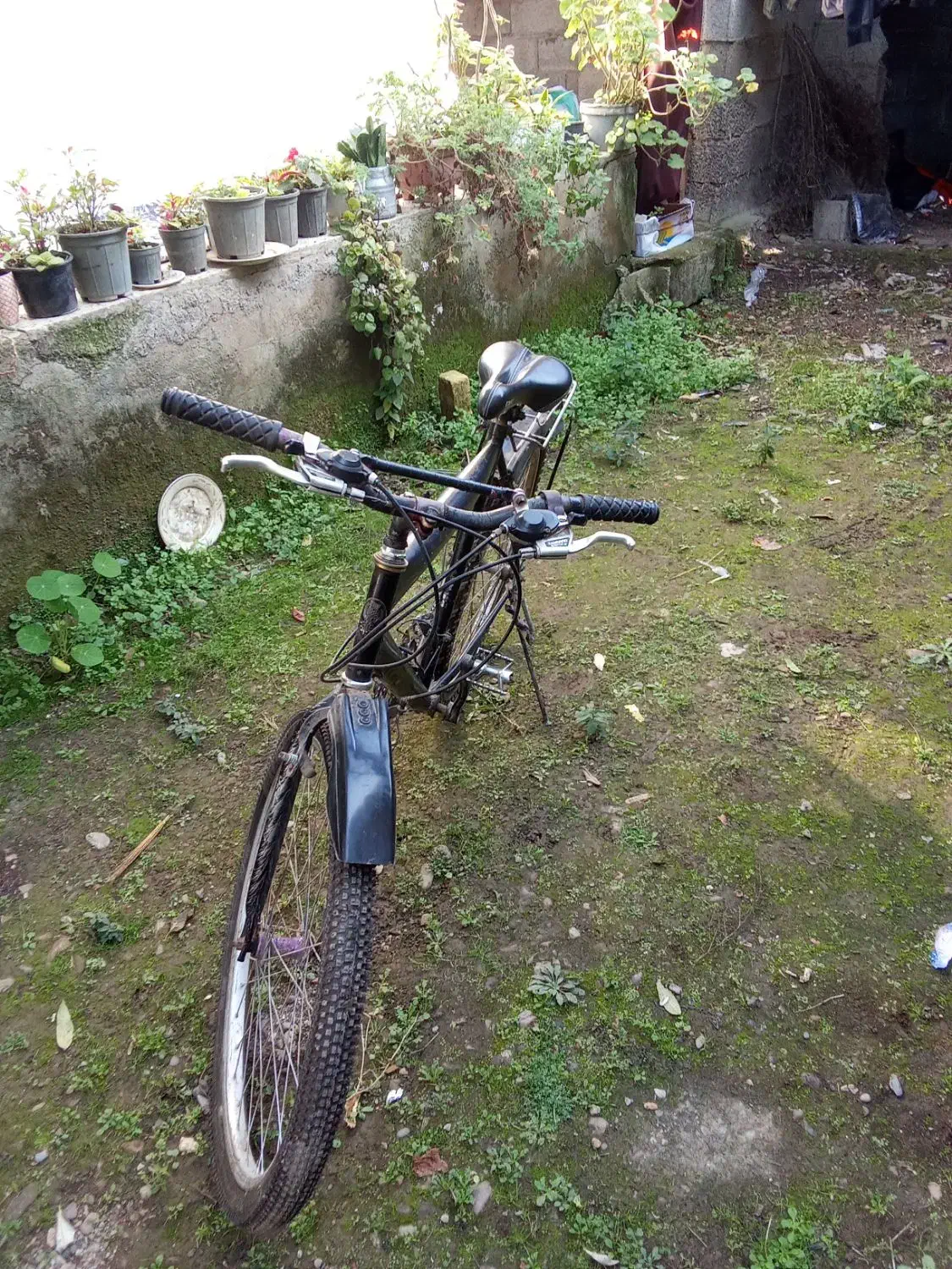 دوچرخه|دوچرخه، اسکیت، اسکوتر|طاهرگوراب, |دیوار