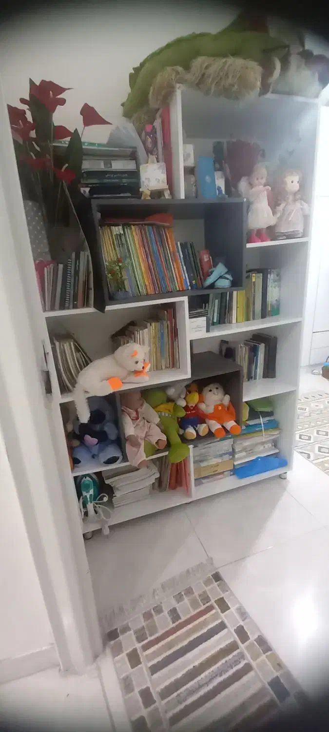 کتابخانه|کتابخانه، شلف، قفسه‌های دیواری|رشت, حسین آباد|دیوار