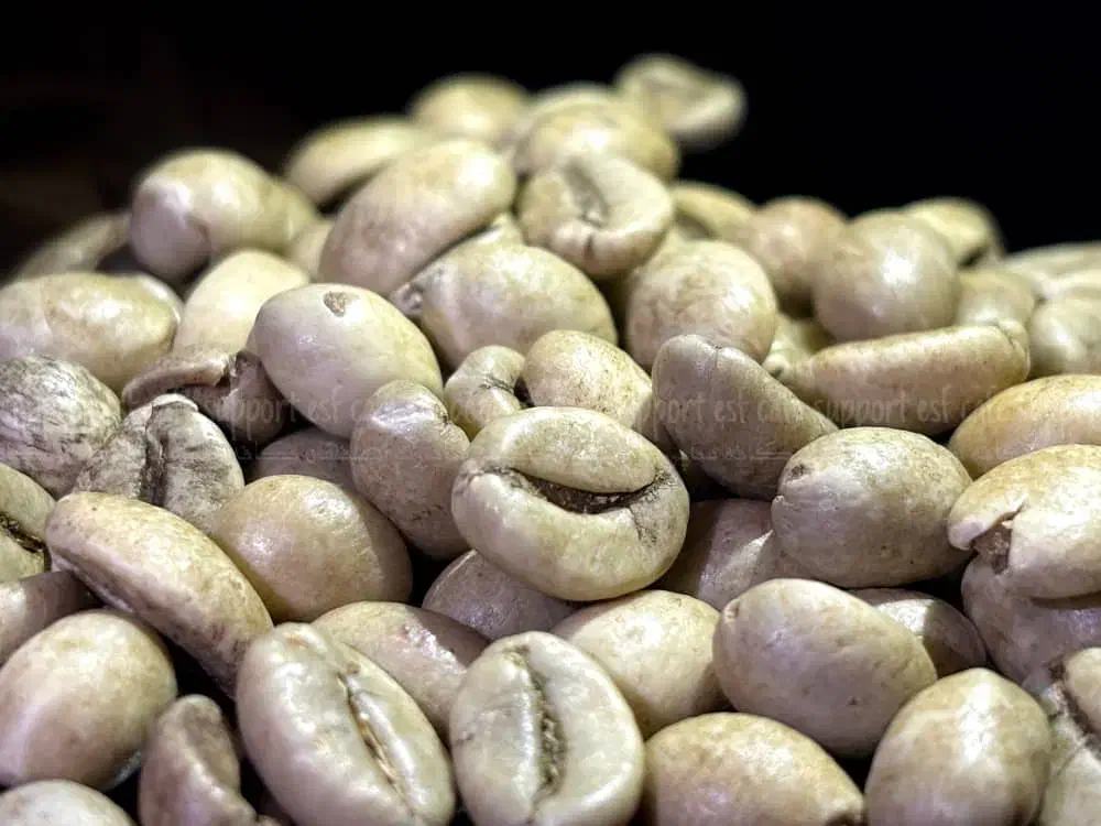 قهوه،کاپوچینو،هاتچاکلت،کافیمیکس|خوردنی و آشامیدنی|اصفهان, ملاصدرا|دیوار