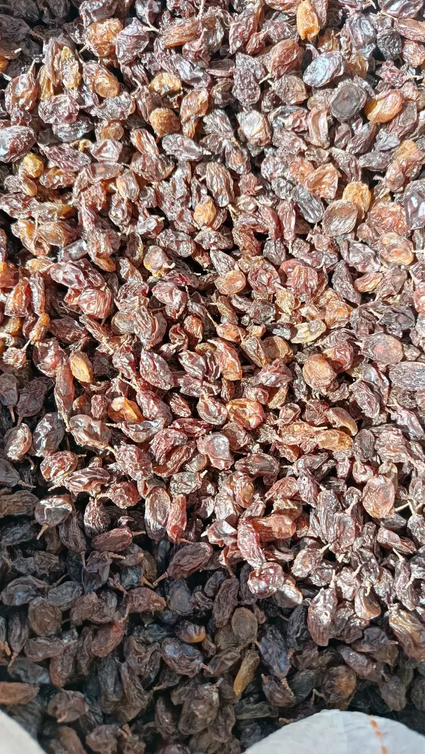 کشمش طبیعی|خوردنی و آشامیدنی|کامیاران, |دیوار